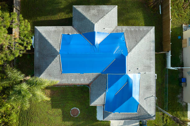 Best Roof Moss and Algae Removal  in River Heights, UT